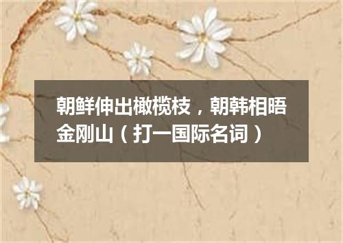 朝鲜伸出橄榄枝，朝韩相晤金刚山（打一国际名词）
