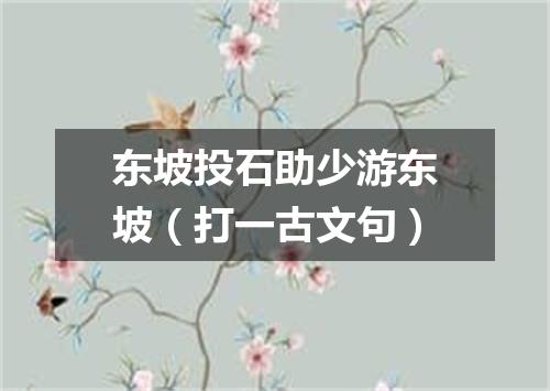 东坡投石助少游东坡（打一古文句）