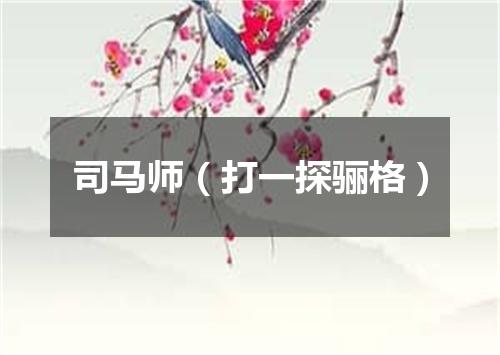 司马师（打一探骊格）