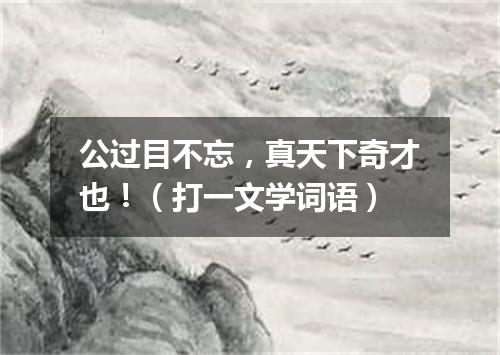 公过目不忘，真天下奇才也！（打一文学词语）