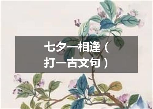 七夕一相逢（打一古文句）