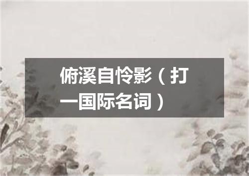俯溪自怜影（打一国际名词）