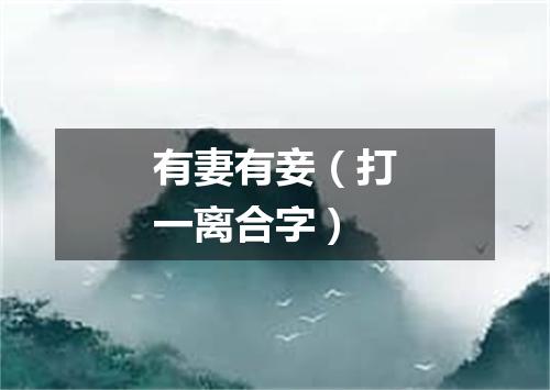 有妻有妾（打一离合字）