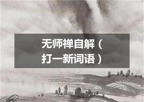 无师禅自解（打一新词语）