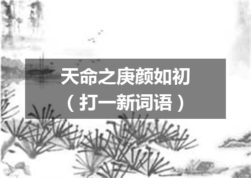 天命之庚颜如初（打一新词语）