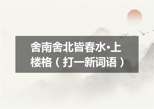 舍南舍北皆春水·上楼格（打一新词语）