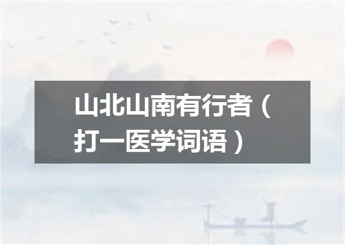 山北山南有行者（打一医学词语）