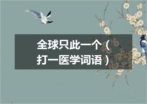 全球只此一个（打一医学词语）