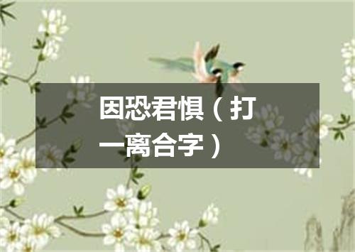 因恐君惧（打一离合字）