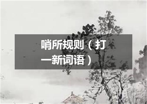 哨所规则（打一新词语）