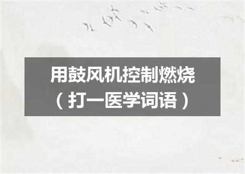用鼓风机控制燃烧（打一医学词语）