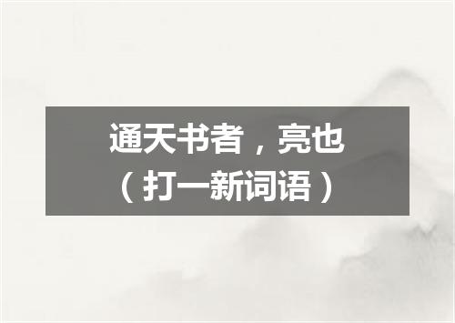 通天书者，亮也（打一新词语）