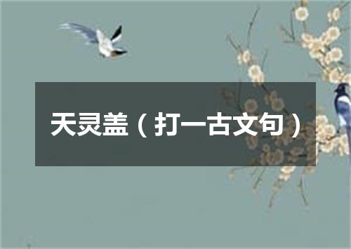 天灵盖（打一古文句）