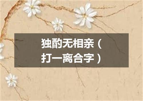 独酌无相亲（打一离合字）