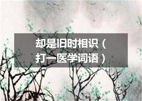 却是旧时相识（打一医学词语）