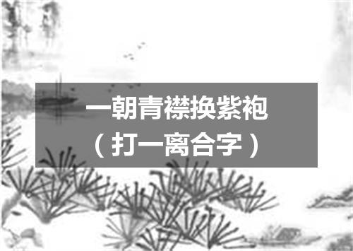 一朝青襟换紫袍（打一离合字）