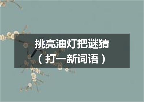 挑亮油灯把谜猜（打一新词语）