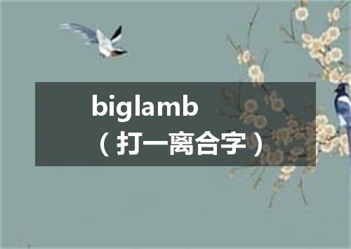 biglamb（打一离合字）