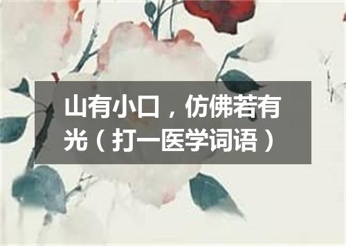 山有小口，仿佛若有光（打一医学词语）