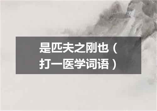 是匹夫之刚也（打一医学词语）