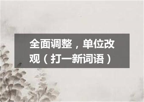 全面调整，单位改观（打一新词语）