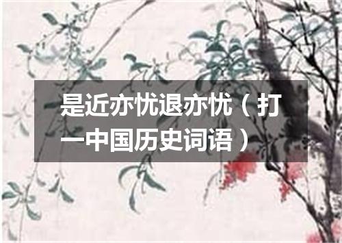 是近亦忧退亦忧（打一中国历史词语）