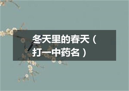 冬天里的春天（打一中药名）