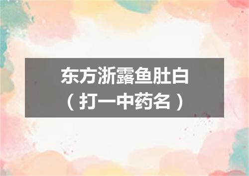 东方浙露鱼肚白（打一中药名）