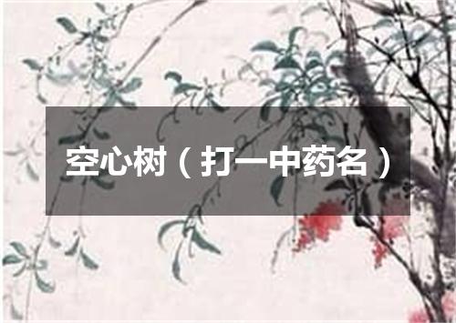 空心树（打一中药名）