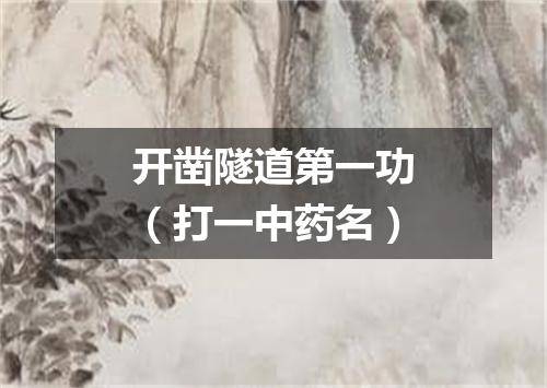 开凿隧道第一功（打一中药名）