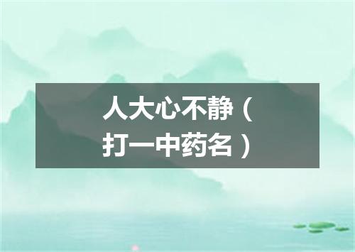 人大心不静（打一中药名）