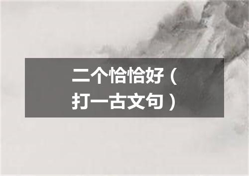 二个恰恰好（打一古文句）