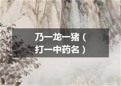 乃一龙一猪（打一中药名）