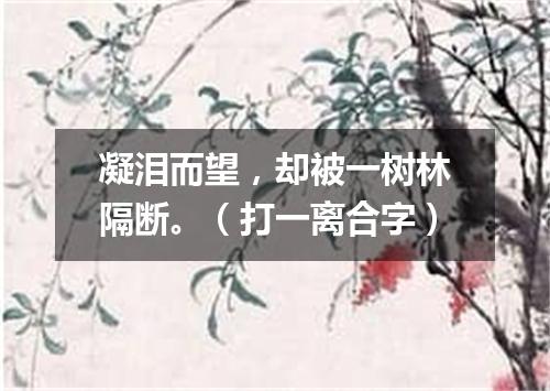 凝泪而望，却被一树林隔断。（打一离合字）