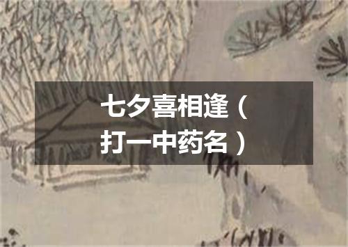 七夕喜相逢（打一中药名）