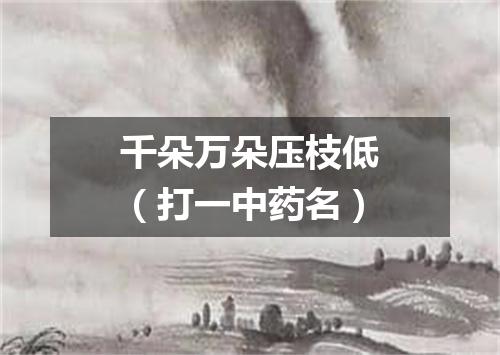 千朵万朵压枝低（打一中药名）