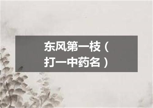 东风第一枝（打一中药名）