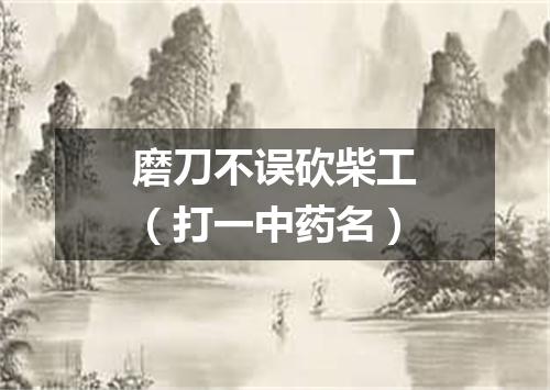 磨刀不误砍柴工（打一中药名）