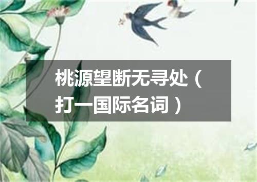 桃源望断无寻处（打一国际名词）
