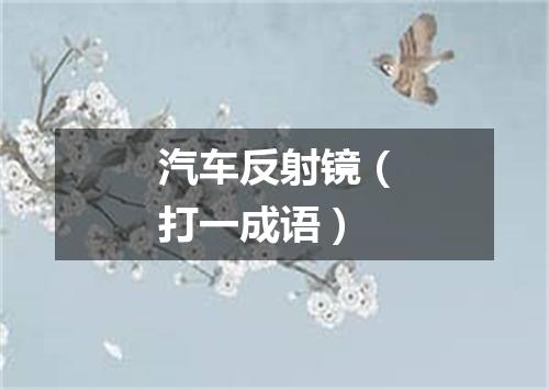 汽车反射镜（打一成语）
