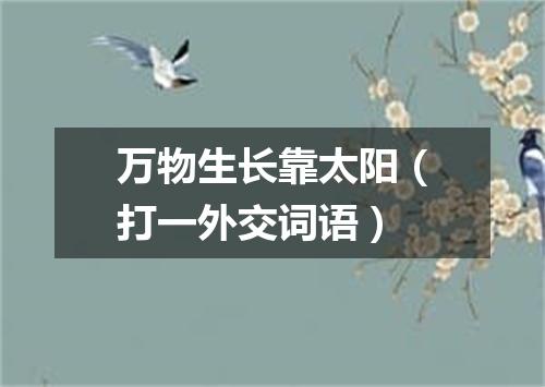 万物生长靠太阳（打一外交词语）
