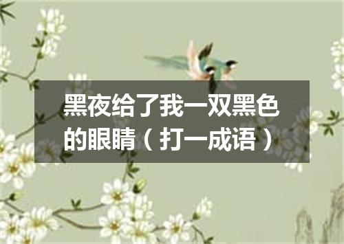 黑夜给了我一双黑色的眼睛（打一成语）