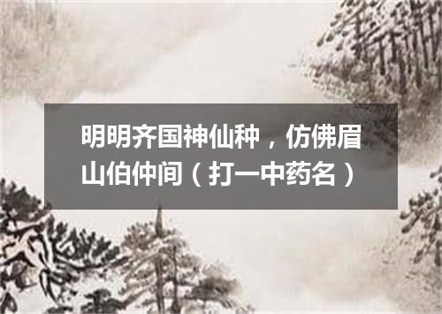 明明齐国神仙种，仿佛眉山伯仲间（打一中药名）