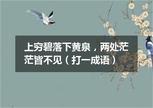 上穷碧落下黄泉，两处茫茫皆不见（打一成语）