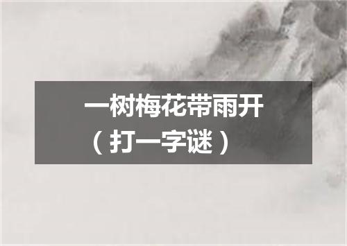 一树梅花带雨开（打一字谜）
