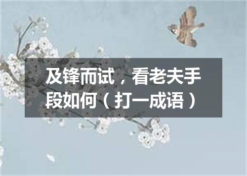 及锋而试，看老夫手段如何（打一成语）