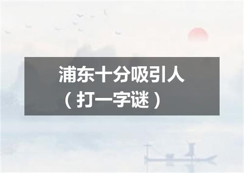 浦东十分吸引人（打一字谜）