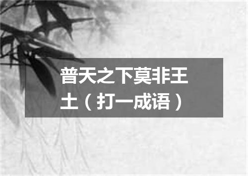 普天之下莫非王土（打一成语）