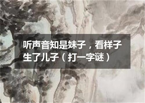 听声音知是妹子，看样子生了儿子（打一字谜）