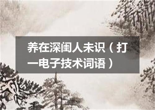 养在深闺人未识（打一电子技术词语）